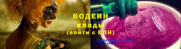 мдпв Пестово
