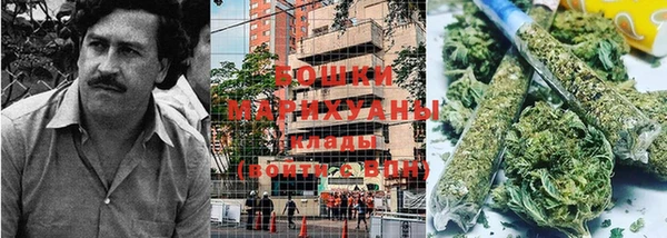 Альфа ПВП Осинники