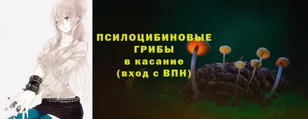 марки lsd Пересвет