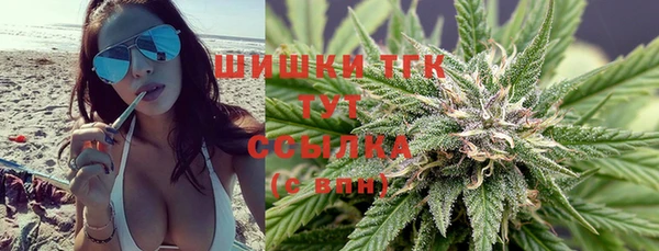 мдпв Пестово