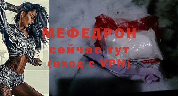 мдпв Пестово