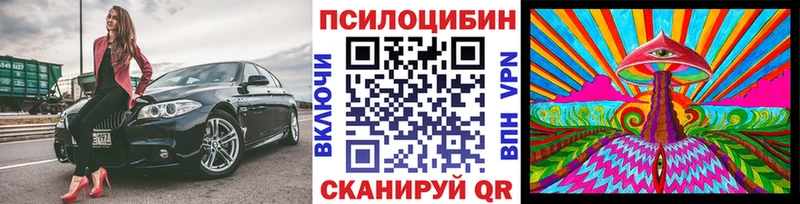 Галлюциногенные грибы Psilocybe  Купить закладки  Талица 