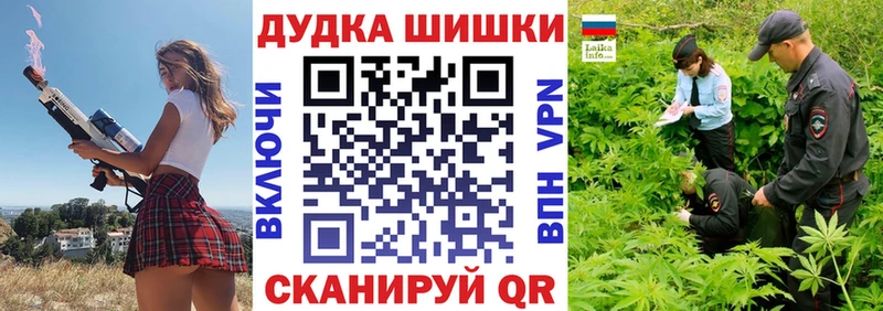 Бошки Шишки план  Купить где  Талица 